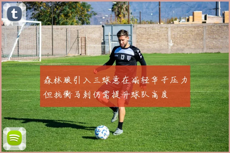 森林狼引入三球意在减轻华子压力但抗衡马刺仍需提升球队高度